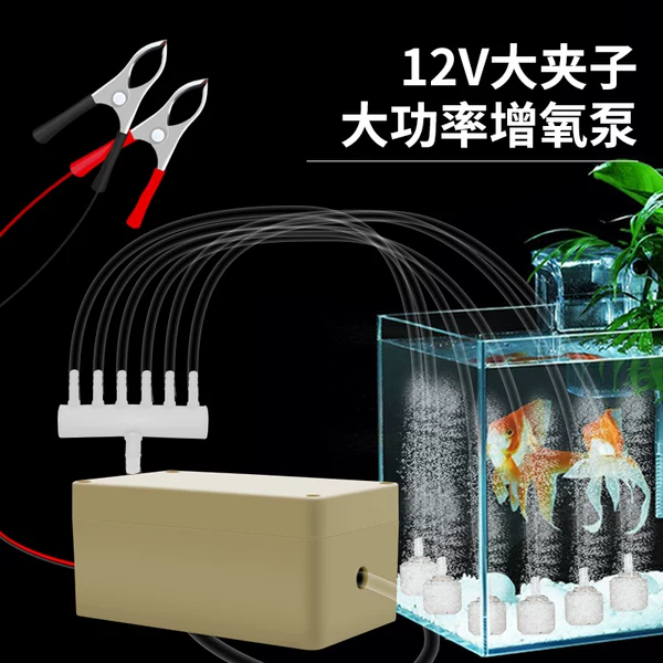 Товары от 福鼎市珠葛亮