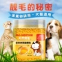 Lòng đỏ trứng lecithin snack dinh dưỡng kem làm đẹp tóc bột Teddy mèo hỗn hợp thức ăn cho chó đối tác lòng đỏ trứng bánh sữa dinh dưỡng - Cat / Dog Health bổ sung mèo uống sữa gì