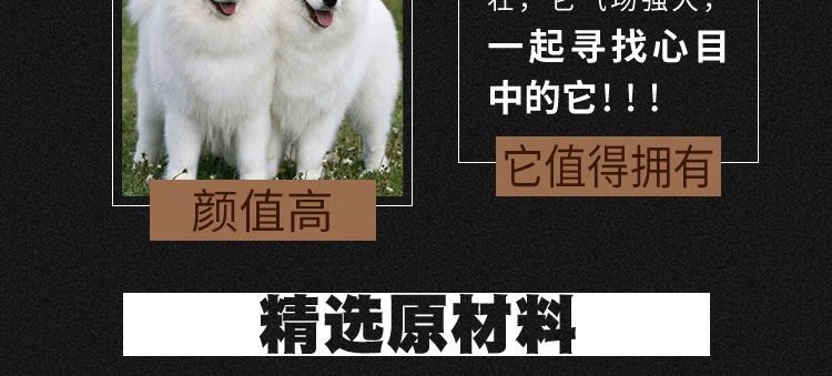 Thức ăn cho chó trưởng thành trung bình và lớn của Huang Heng Sai Jin Ma Labrador Samoyed Husky phổ biến thức ăn cho chó 30 kg - Chó Staples