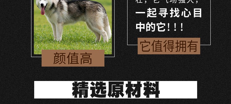 Chó Husky thức ăn cho chó đặc biệt lông để nước mắt hai thức ăn trong công thức dinh dưỡng cho chó lớn - Chó Staples thức ăn cho chó poodle