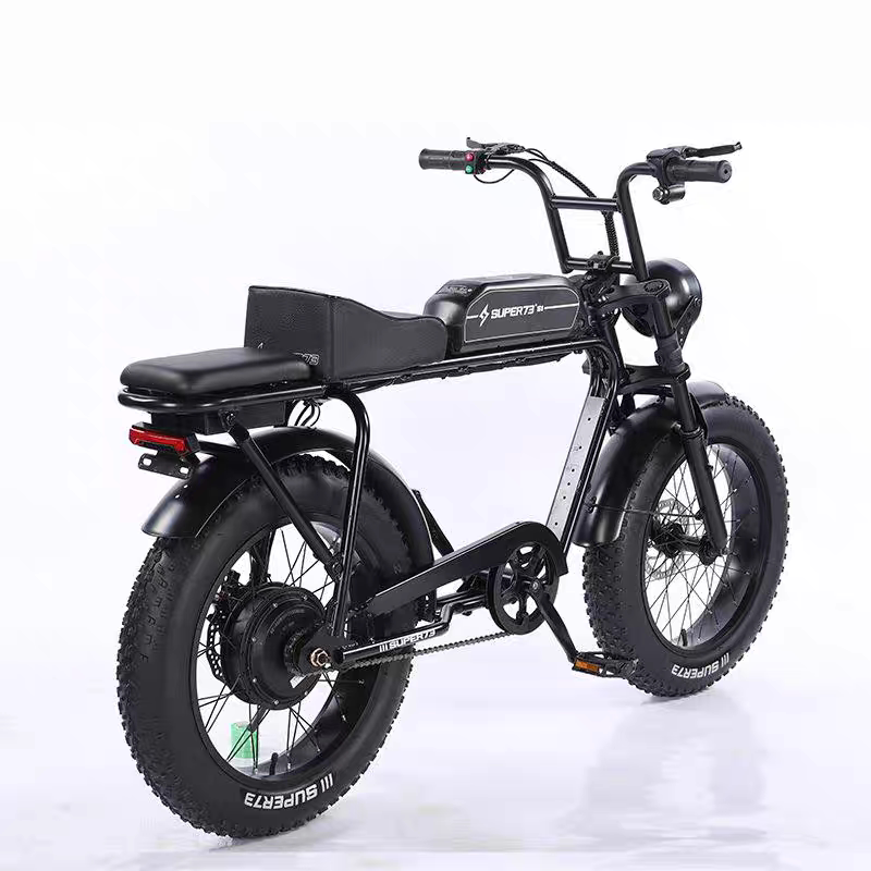 Electric Vehicle for Off-Road Use, Capable of Climbing Slopes, Electric Vehicle S1, Two-Seater Electric Bicycle