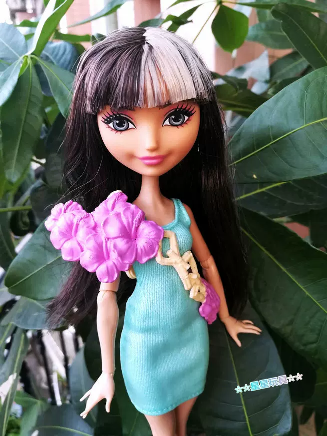 Monster High школьная школа High school Franklin кукла игрушка аксессуары бижутерия очки повязка на волосы