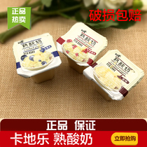 KDL cooked yogurt card with milk drink pudding yogurt jelly drink original Strawberry Blueberry 5kg