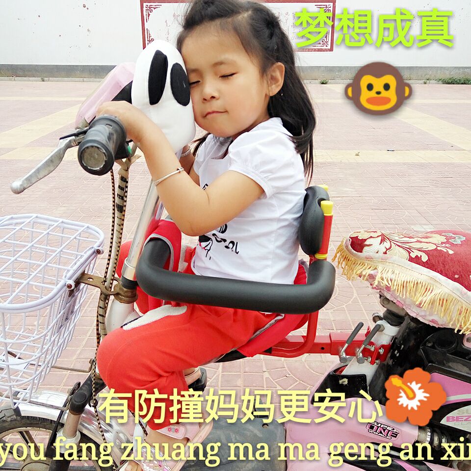 siège enfants pour vélo - Ref 2412815 Image 6