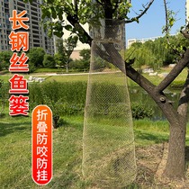 Yellow Spicy Ding Fishing Net Folding Steel Wire Fish Net Anti-crab Clamp Net Pocket Special Metal Fish Basket for Mandarin Fish