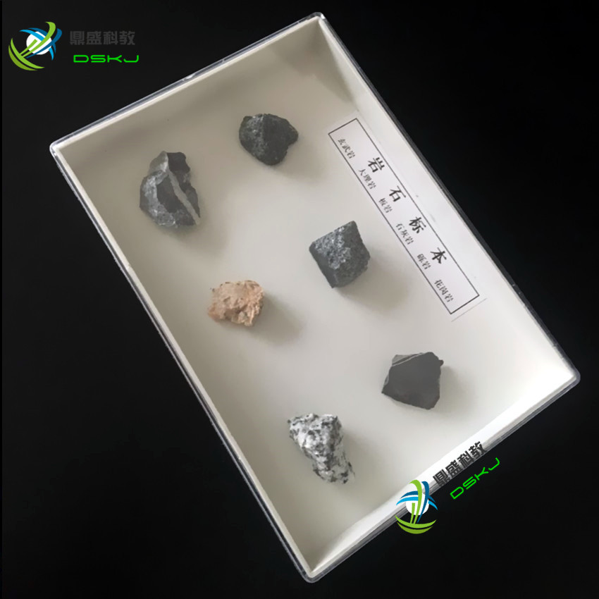 岩石标本 J49006 教学用 教学仪器 小学科学实验器材 科普仪器