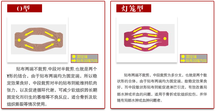 Protection sport - Ref 592569 Image 20