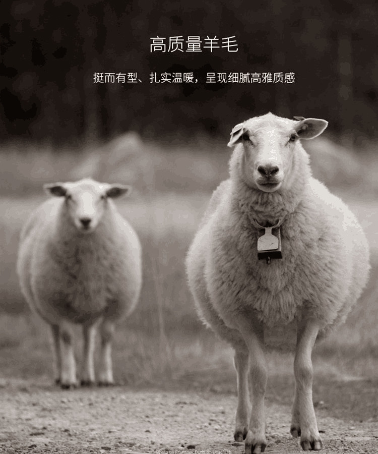 場合.jpg