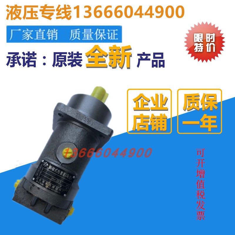 Ward A2F5 10 12 12 45 45 55 80107125160 80107125160 source type plunger motor oil pumps