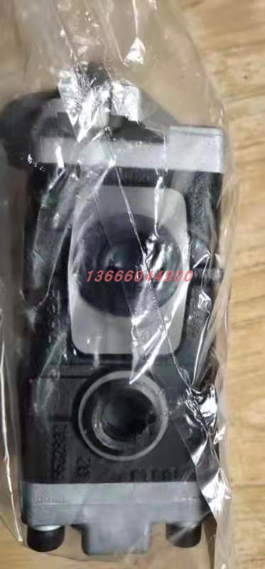 Micro-dug special gear pump TTP05A993 5F2H7-R538D Tianjin Shimizu excavated hydraulic oil pump