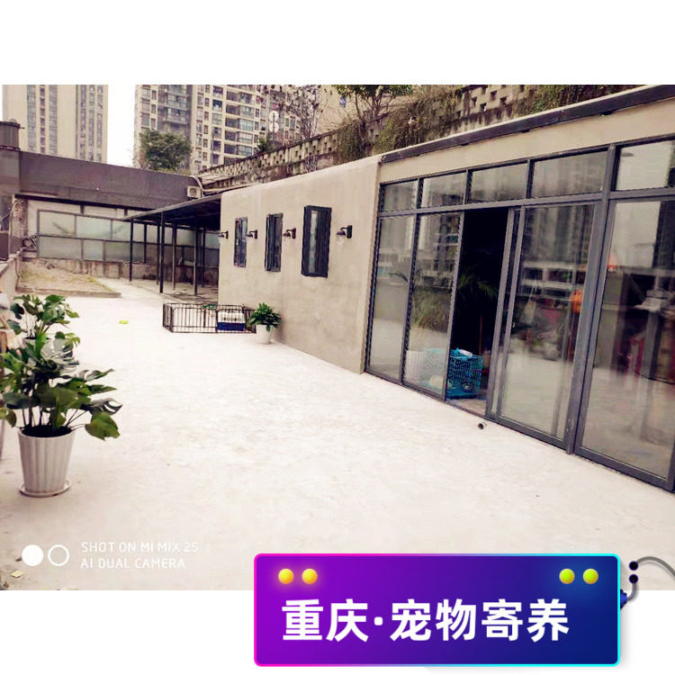 Teng Daniu Chongqing Pet Boarding Carefully takes care of one-to-one dogs and cats one-shoulder nursery pet boarding shop