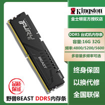 Golden Houston Beast Memory Bank 16g 4800 ddr5 4800 5200 5600 5600 Computer 32g Hacked Gods