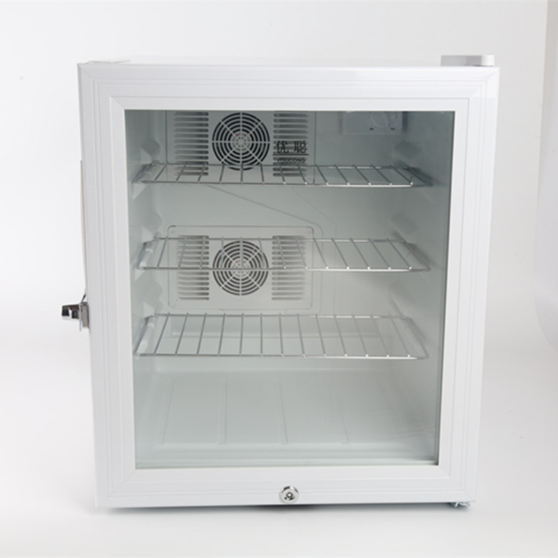 Youcong 40L school kindergarten unit canteen food sample cabinet glass door refrigerated small refrigerator with single and double locks