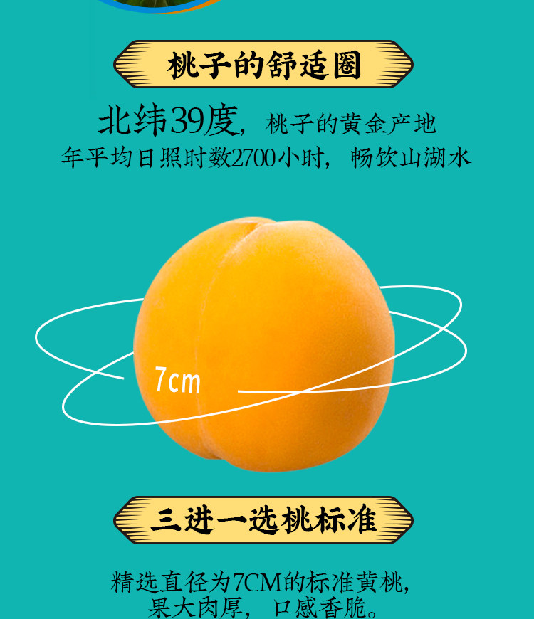 林家铺子 黄桃罐头 312g*5罐 图1