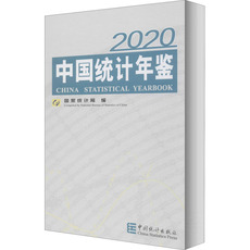 Статистический аудит 中国统计年鉴 2020 国家统计局 编