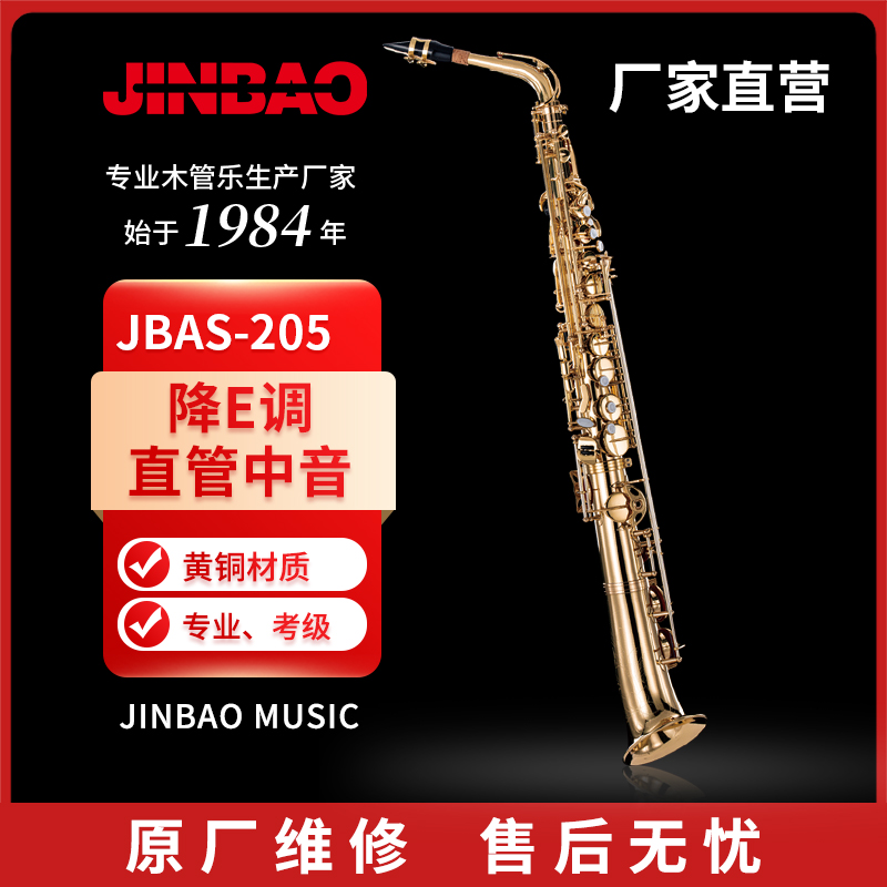 JBAS - 205 Lower E - tube tube middle tube saxophone musical instrument professional playing paint brass saxophone