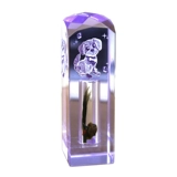 Фелные волосы пупочные