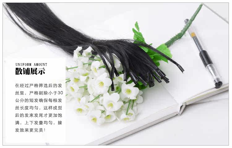 Extension mèches - Ref 219756 Image 23