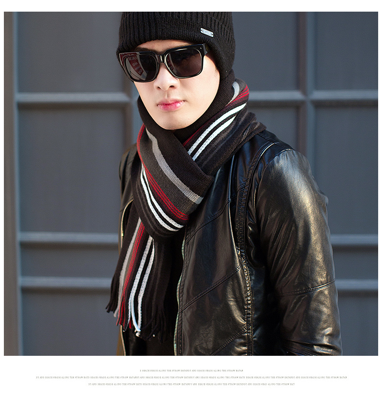 Echarpe pour homme en Cachemire - Ref 3157962 Image 18