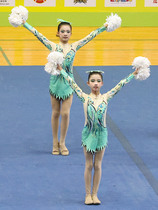 Customize the cheerleader Costume Cheerleaders performance Competitive Bodybuilding   Clothing Dance Suit 24 New Pine Mens Men