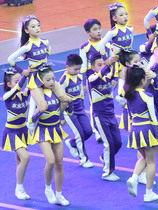 Customize the cheerleader Costume Cheerleaders performance Competitive Bodybuilding   Clothing Dance Suit 24 New Pine Mens Men