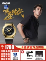 GM-2100G-1A9PR [та же самая модель в золотом веке Ван Хечэна]