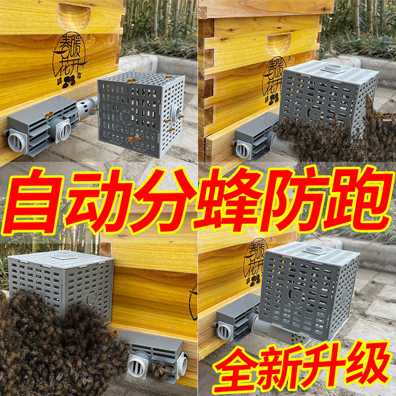 Central Bee Automatic Wasp Queen Bee Queen Bee Instrumental other than the male beefier anti-escape box Multi-functional nest door to prevent bee king escape