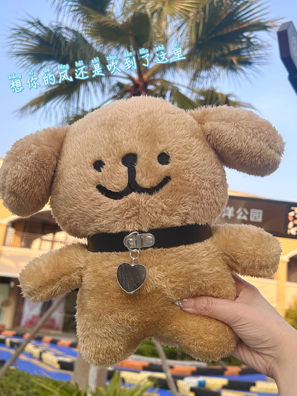 Recordable Internet-Famous Puppy Plush Toy, Cute Golden Retriever, Birthday Gift for Men and Women, Original Doll