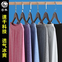 Tai Chi pants female male modal ice and snow silk martial arts pants training pants practice pants Kung fu pants boxing clothing spring and summer loose