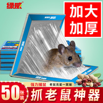 Sticky mouse board super strong mouse adhesive paste killing mouse artifact sticking home enlarged thickening type bait
