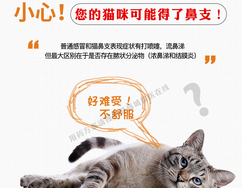 Lysine catamine bột mèo bột mèo lysine mèo axit amin mũi mèo bột mèo lạnh mũi - Cat / Dog Health bổ sung sữa mèo sơ sinh