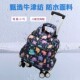 Waterproof printing portable four-wheel folding universal wheel trolley bag travel luggage short-distance luggage bag boarding trolley case