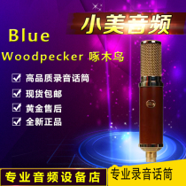 Blue Woodpecker Woodpecker all manual Wood recording aluminum with microphone capacitor wheat