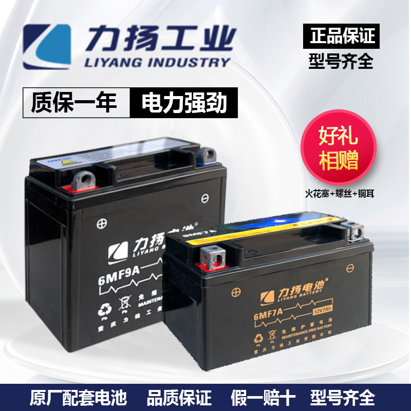 Liyang motorcycle battery 12v maintenance-free dry battery 125 curved beam 12 volts 9a7a scooter universal
