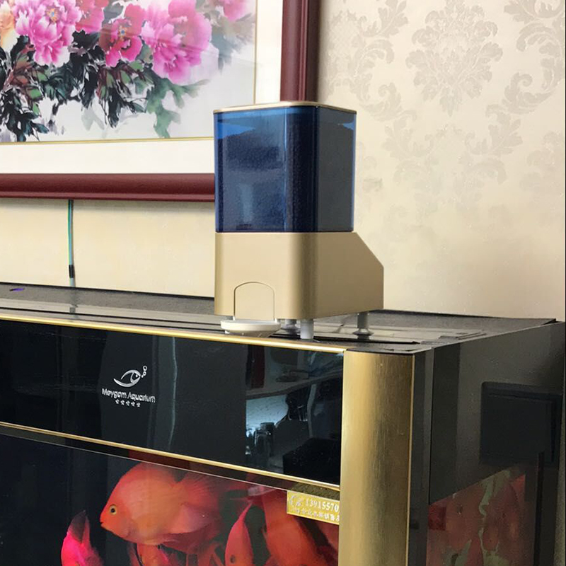 Customized automatic feed feed quantitatively feed on small grid grid fish pool powder powder