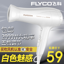  Feike hair dryer barrel Household professional barber salon shop special hot and cold hair dryer high power does not hurt hair FH6232