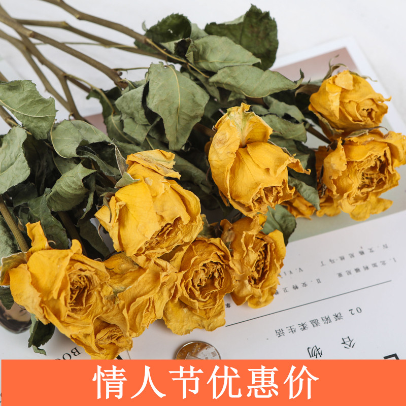 Dried flower bouquet rose true flower air dried net red Nordic style living room bedroom ornament small literary champagne rose