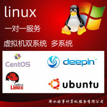 远程虚拟机安装系统linux ubuntu centos mint deepin kali双系统