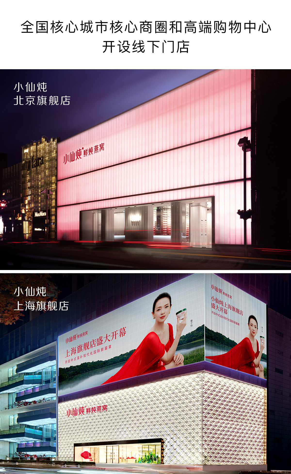 Premium Stewed Bird's Nest Dragon Horse Well-Being Nutritional Gift Supplement Sugar-Free 40g*8 bottles