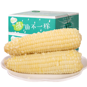 【有机食品】禾久甜糯有机玉米9根