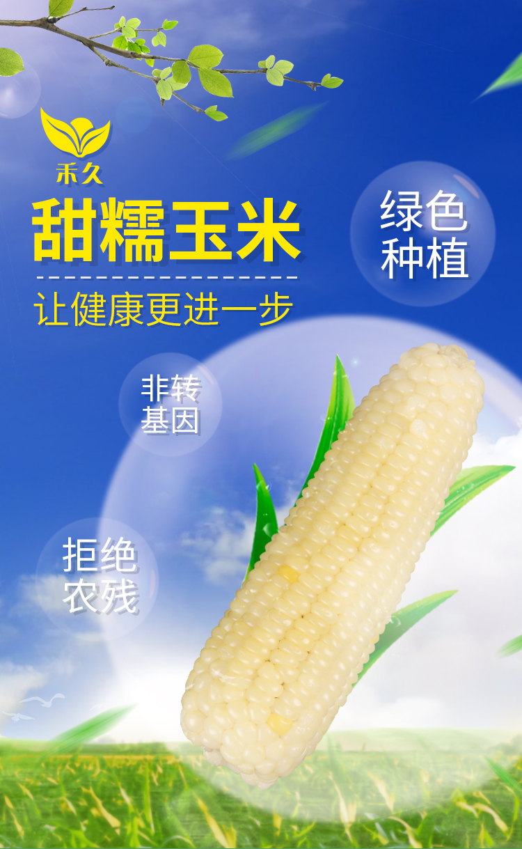 有机食品 禾久 东北非转基因 甜糯玉米 260gx8根 券后29.99元包邮 买手党-买手聚集的地方