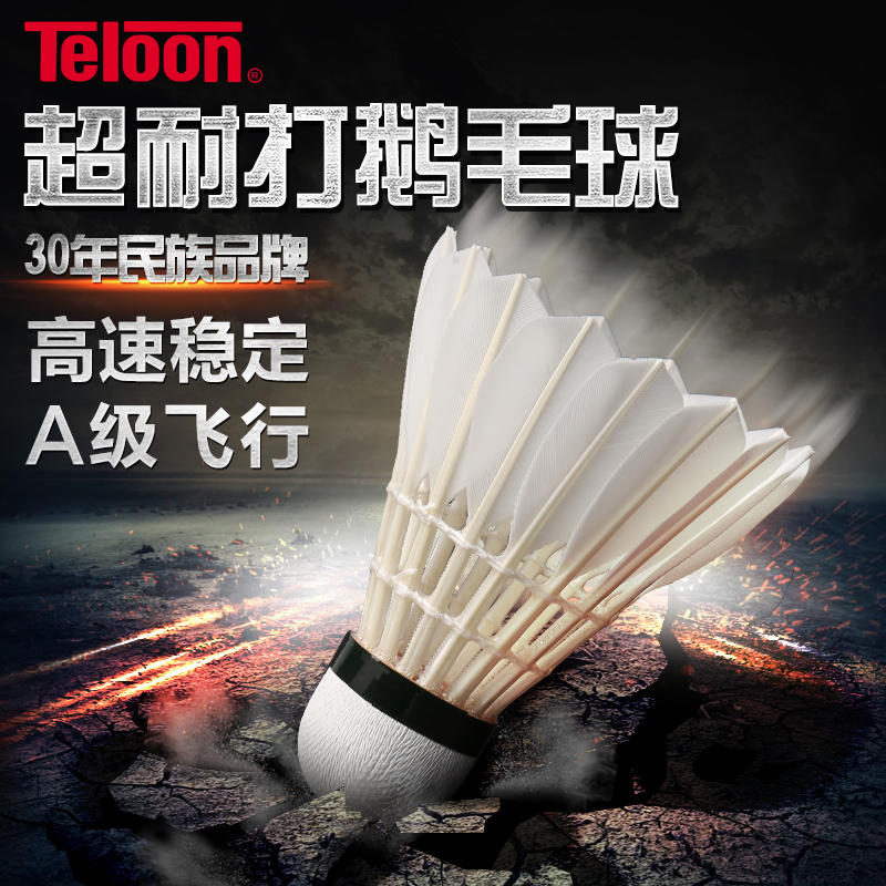 Tianlong badminton goose feather resistant flight stable hit not easy to break training ymq game ball TB3000