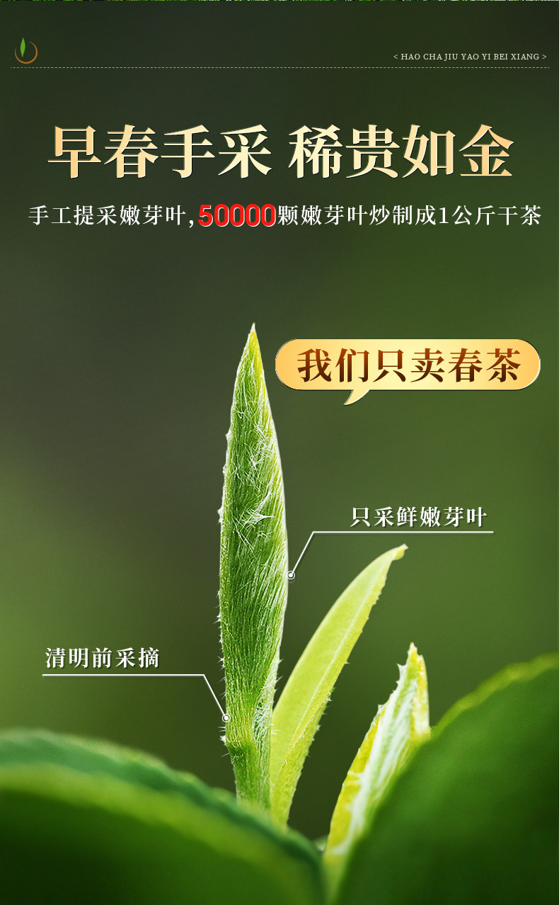 【中國直郵】 一杯香 碧螺春 蘇州明前茶葉綠茶禮盒裝2025新茶濃香自己喝 250g
