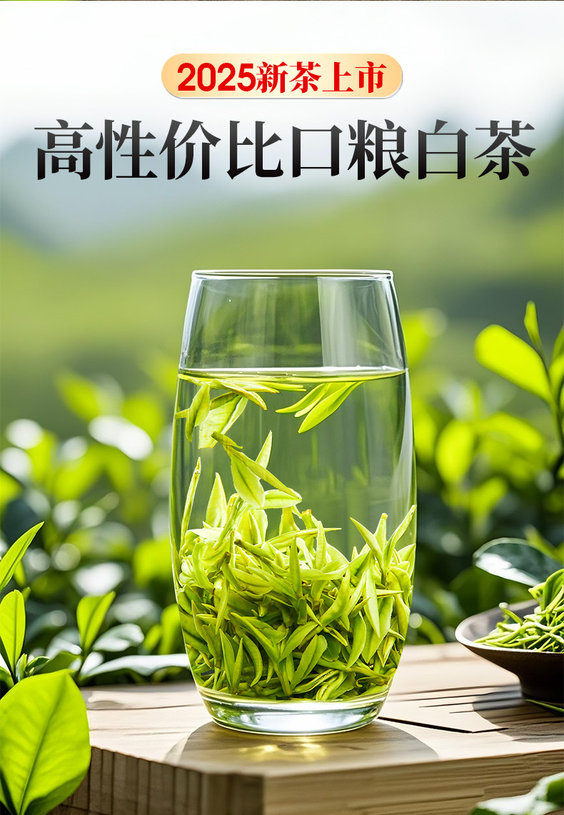 【中國直郵】 一杯香 2025新茶白茶明前安吉綠茶茶葉自己喝春茶 100g*2罐