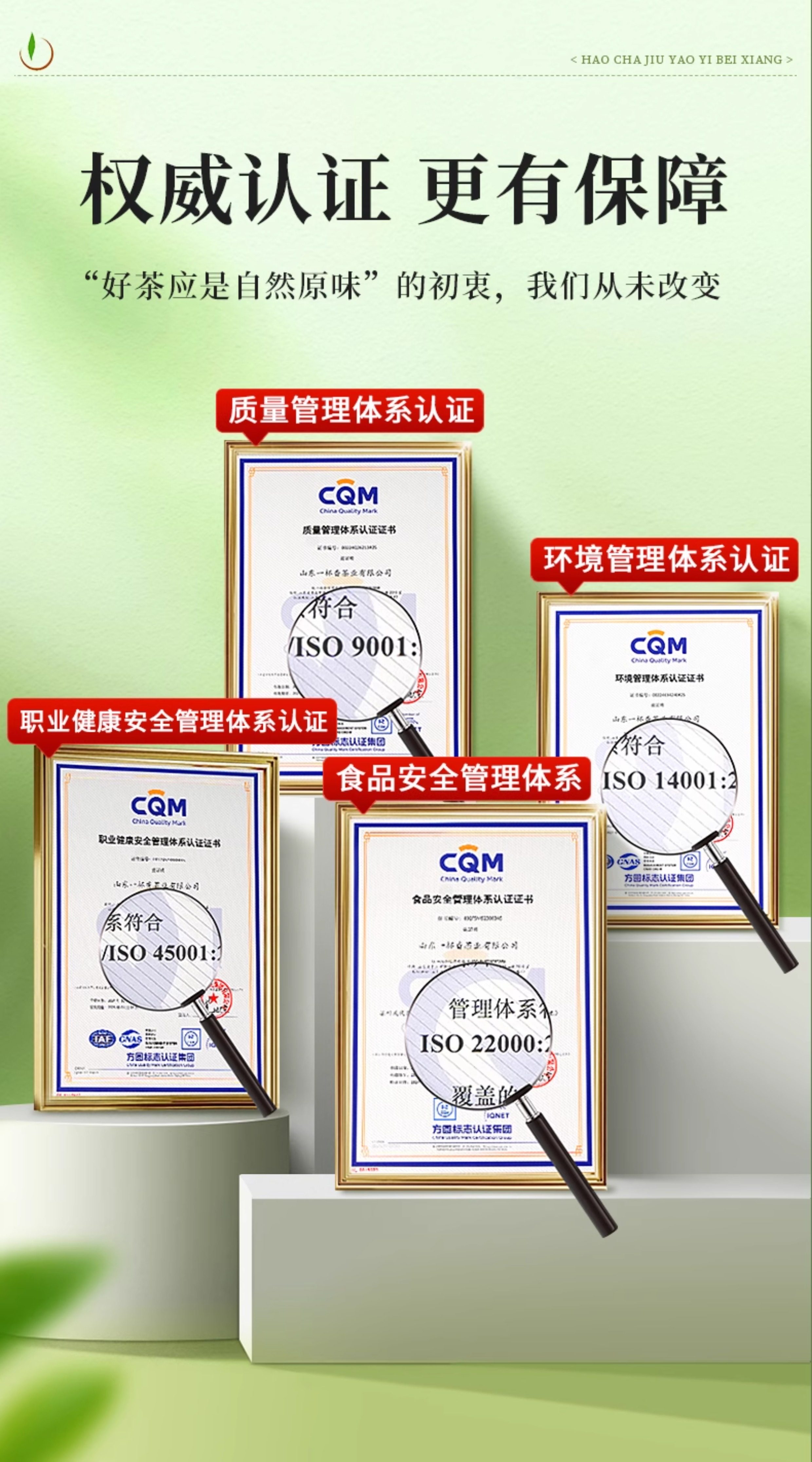 【中國直郵】 一杯香 2025新茶白茶明前安吉綠茶茶葉自己喝春茶 100g*2罐