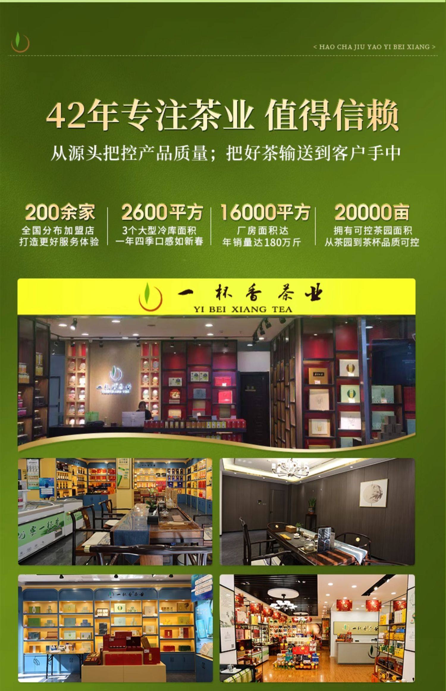 【中國直郵】 一杯香 2025新茶茉莉花茶橫縣花草茶葉特級自己喝濃香 250g*2罐