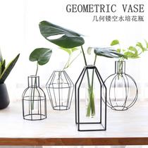 Simple Nordic ins geometric glass hydroponic dried flower fake flower wrought iron Vase ornaments home living room table decoration