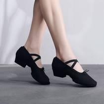 Teacher shoelace and dance shoes womens genuine leather canvas soft-soled practice shoes ethnic dance yoga belly dance square dance shoes