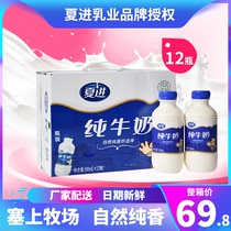 (12 bottles x500ml) Xia Jin pure milk full nutrition breakfast milk halal food Ningxia Milk Whole box