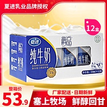 12 boxes x250ml Xia Jin product full-fat pure milk halal Ningxia milk student children pregnant women middle-aged milk